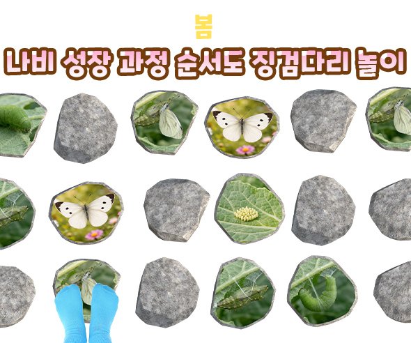 나비 성장 과정 순서도 징검다리 놀이