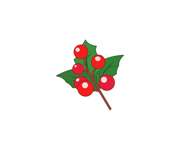 호랑가시나무 열매