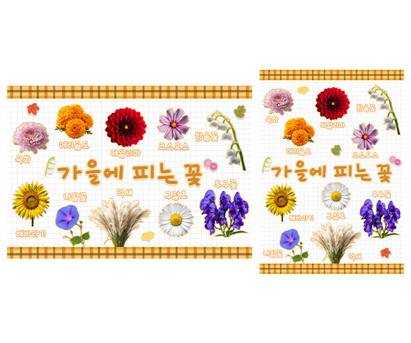 가을에 피는 꽃