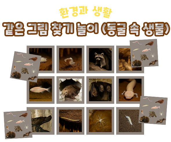 같은 그림 찾기 놀이 (동굴 속 생물)