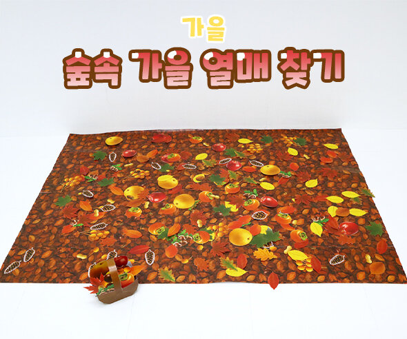 숲속 가을 열매 찾기