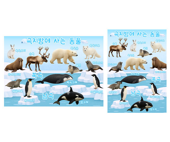 극지방에 사는 동물