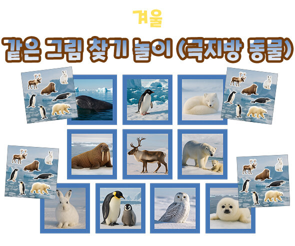 같은 그림 찾기 놀이 (극지방 동물)