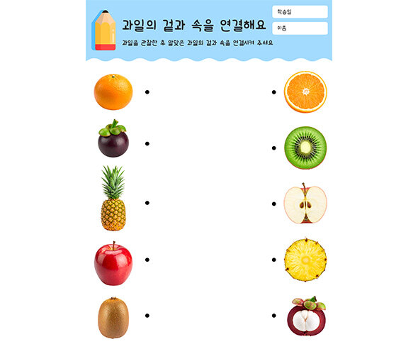 과일의 겉과 속을 연결해요
