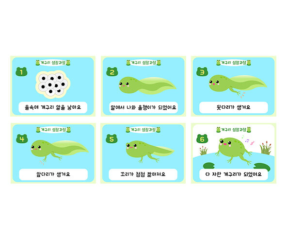 개구리 성장과정 순서도