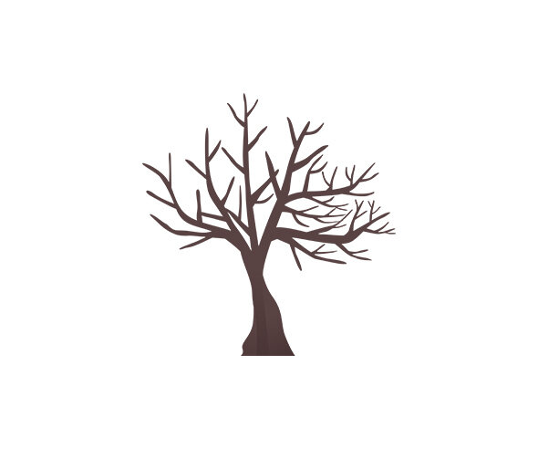 잎사귀 없는 나무