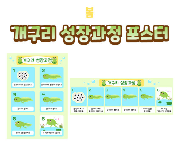 개구리 성장과정 포스터