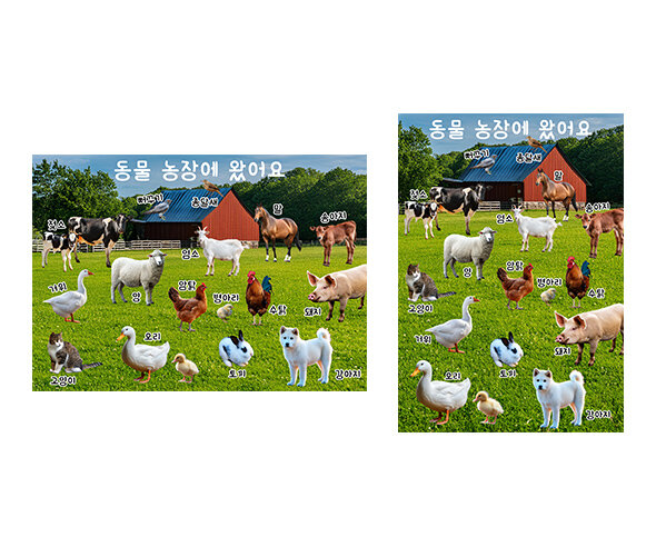 동물 농장에 왔어요
