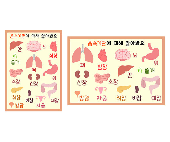 나의 몸속 기관