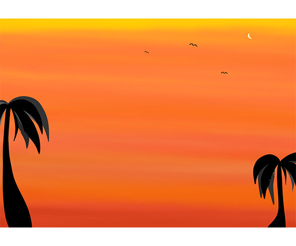 야자수 노을 배경