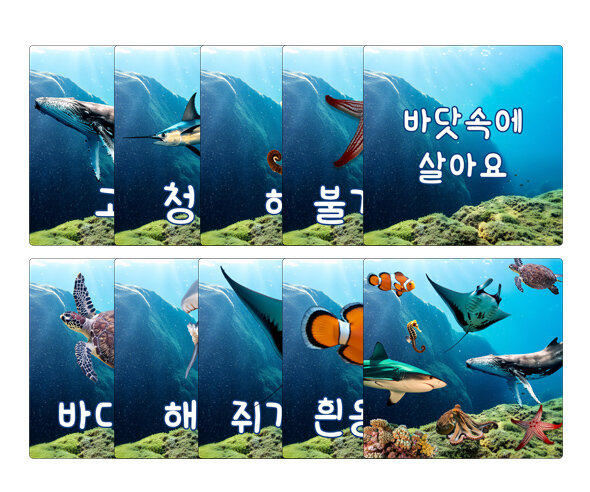 바닷속에 살아요 카드