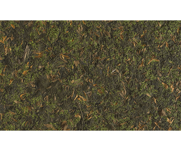 숲속 바닥 배경