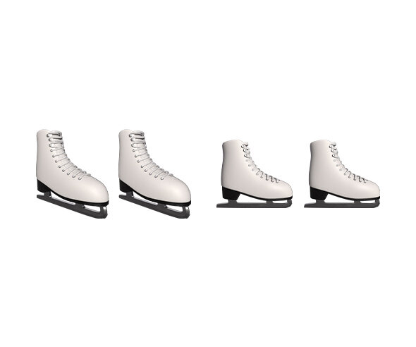 아이스 스케이트