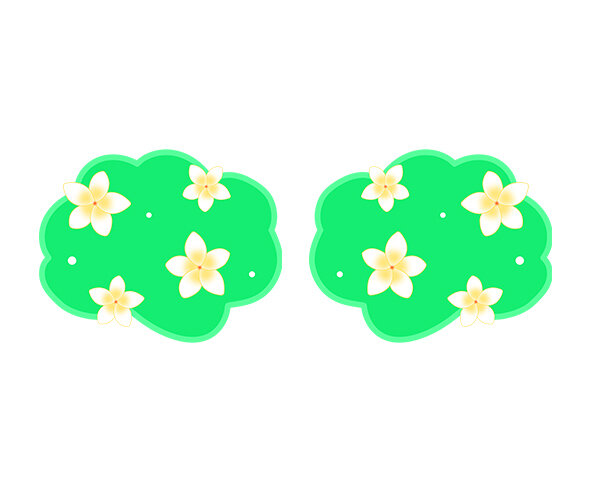 플루메리아 수풀