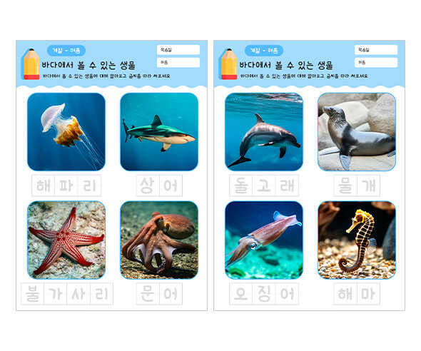 바다에서 볼 수 있는 생물