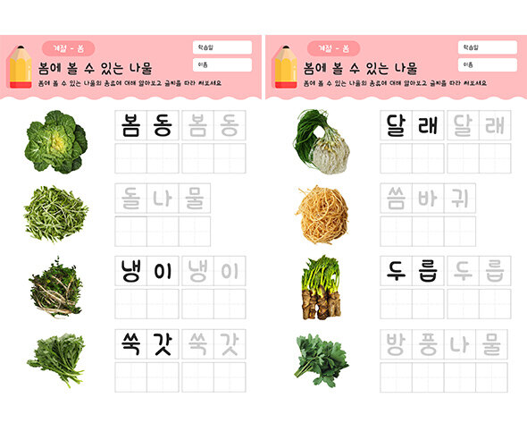 봄에 볼 수 있는 나물