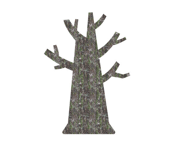 잎사귀 없는 나무