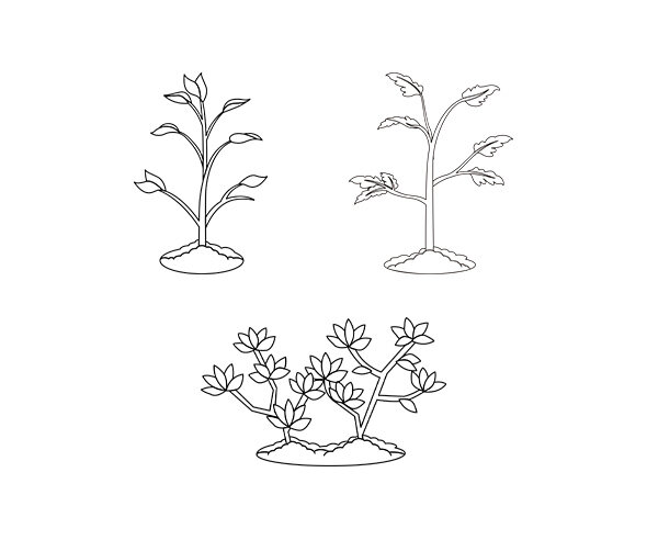 모종,묘목 색칠 모음