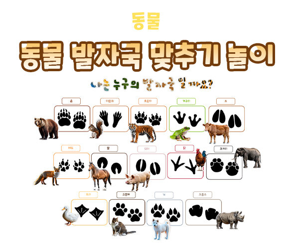 동물 발자국 맞추기 놀이