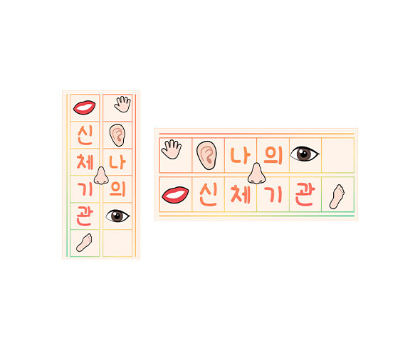 나의 신체기관 원고지 레터링