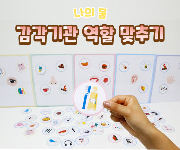 감각기관 역할 맞추기