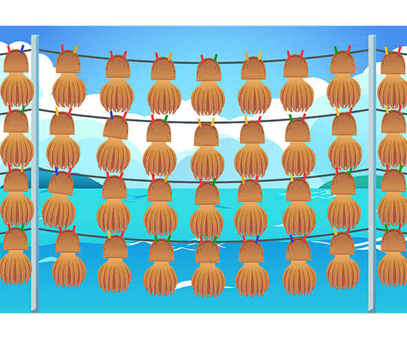 문어 덕장 배경