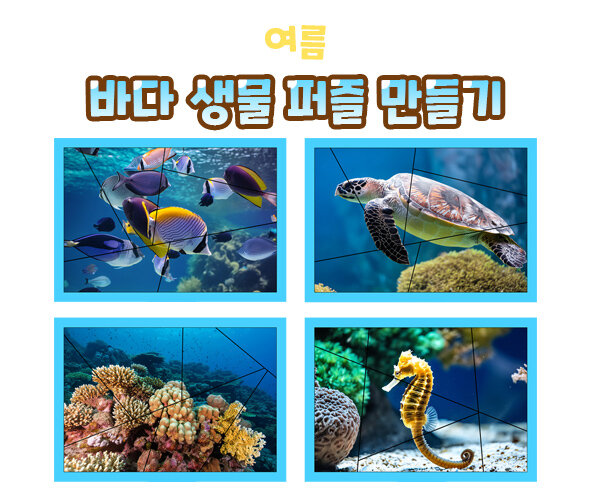 여름 바다 생물 퍼즐 만들기