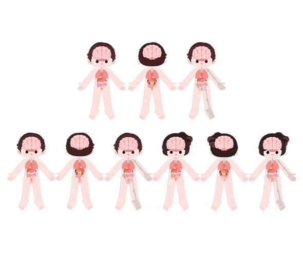 사람 몸속 기관(전신)