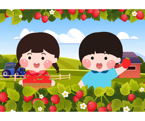 딸기농장 배경 (아이있음)