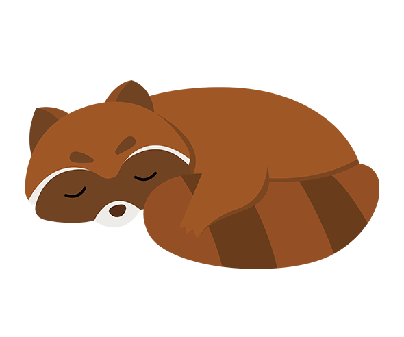 겨울잠 자는 너구리