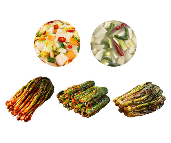 김치(파김치,오이소박이,동치미,나박김치,갓김치)