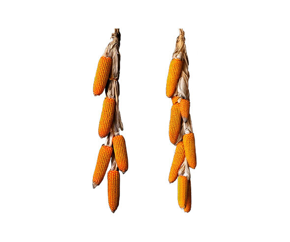 매달린 곡물(옥수수)