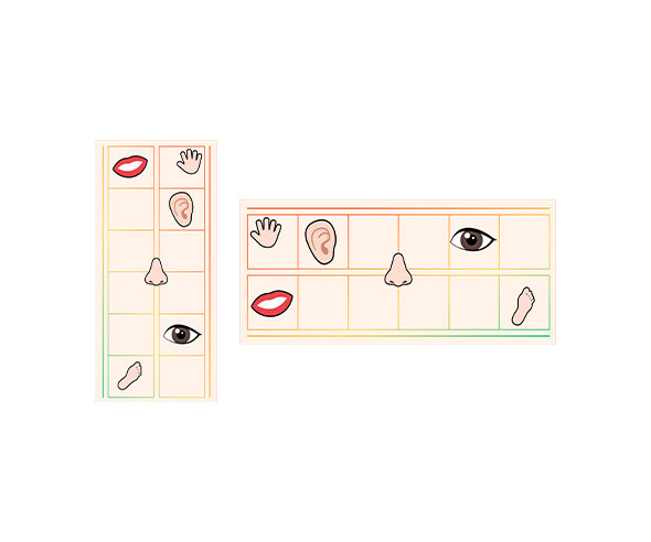 나의 신체기관 원고지 레터링(문구없음)