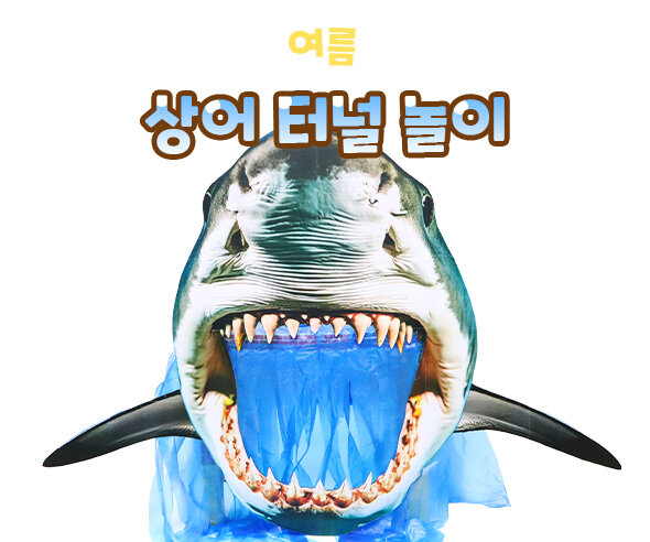 상어 터널 놀이