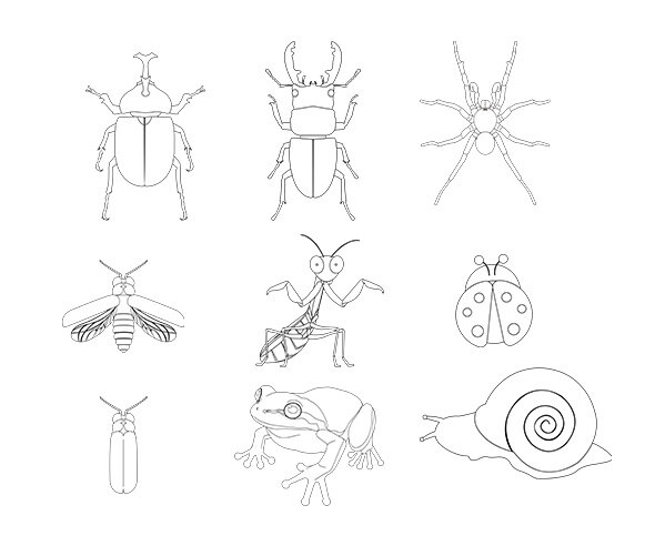곤충 색칠 모음