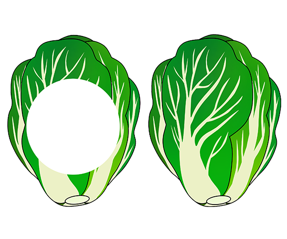 맛있는 김장 만들기 배추 가랜드 개별도안