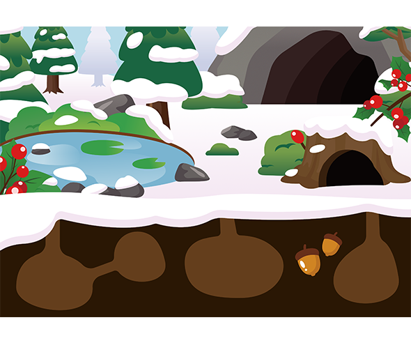 겨울잠 자는 동물 배경 (동물 없음)