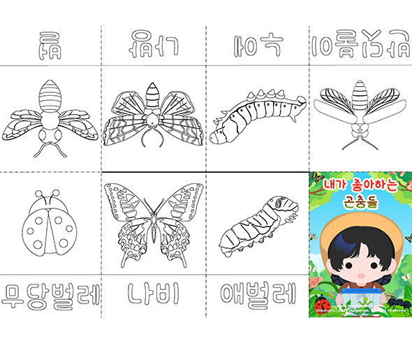내가 좋아하는 곤충 사전