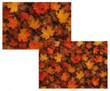 낙엽 바닥 배경