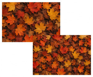 낙엽 바닥 배경