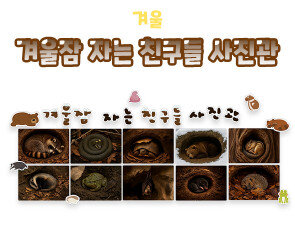 겨울잠 자는 친구들 사진관