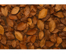 낙엽 바닥 배경 