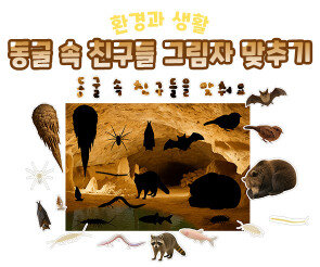 동굴 속 친구들 그림자 맞추기