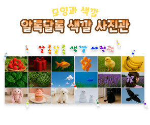 알록달록 색깔 사진관