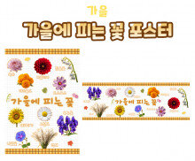 가을에 피는 꽃 포스터