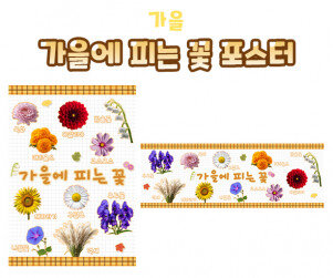 가을에 피는 꽃 포스터