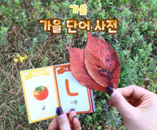 가을 단어 사전