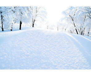 겨울 눈 밭 배경