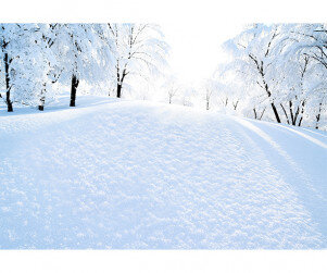 겨울 눈 밭 배경