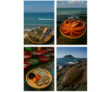 해산물 판매 광고 포스터(문구없음)